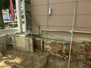 IMG_3822.jpg
