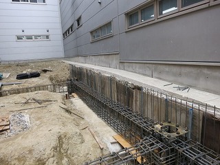 IMG_4331.jpg