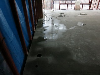 IMG_7113.jpg