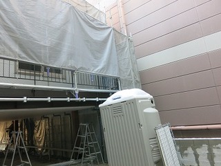 IMG_8101.jpg
