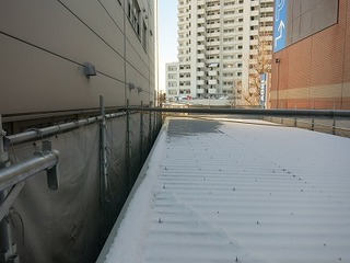 IMG_8103.jpg
