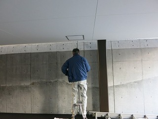 IMG_8728.jpg