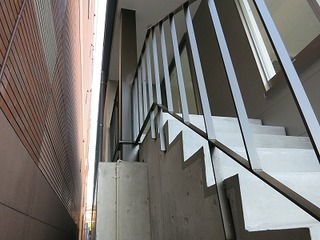 IMG_8740.jpg