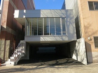 IMG_8769.jpg