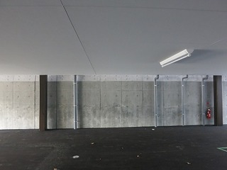 IMG_8793.jpg