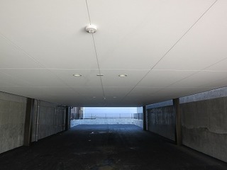 IMG_9146.jpg